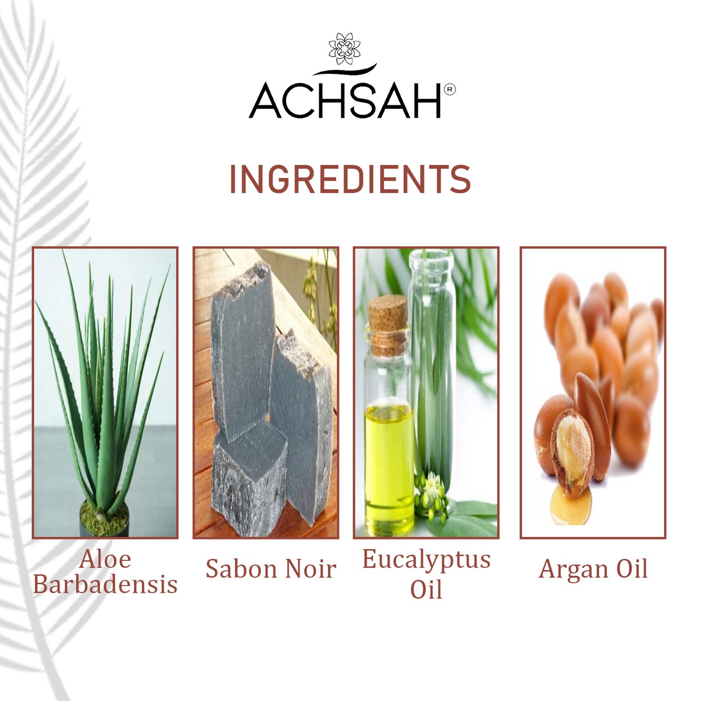 ACHSAH Blush Face Rinse (Face Wash) With Travel Pack
